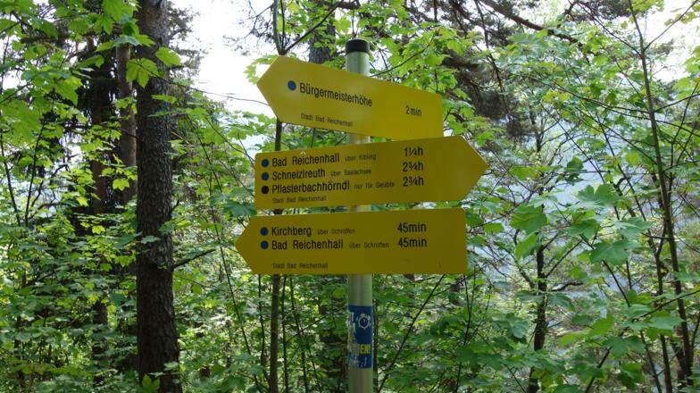 Bürgermeisterhöhe 770m mit Tafel