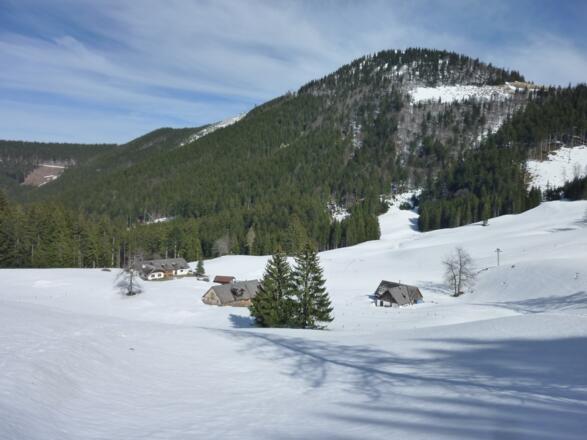 Mittereggalm und Faistenauer Schafberg