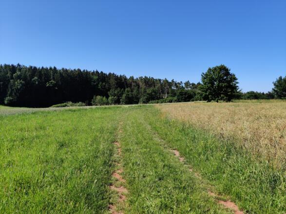 Nach Roßtal