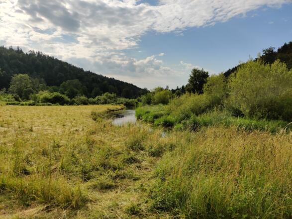 Moor an der lauterach