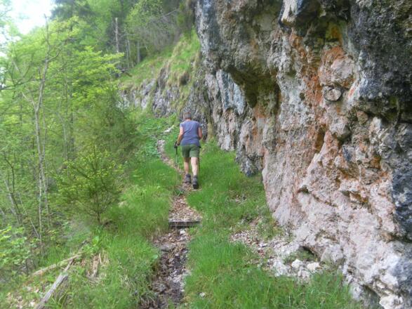 am alten Almweg