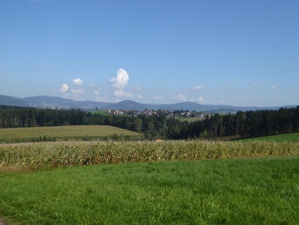 Blick zurück nach Hauzenberg