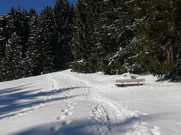 Ober Höfle-Alpe, gleich danach Abzweigung Aufstieg über Klings Hütte