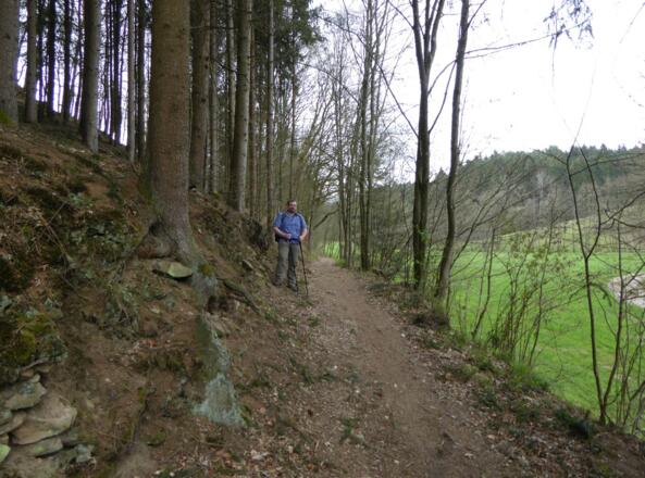Waldweg durch das Perlbachtal