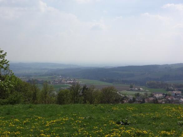 Blick von Pilgramsberg