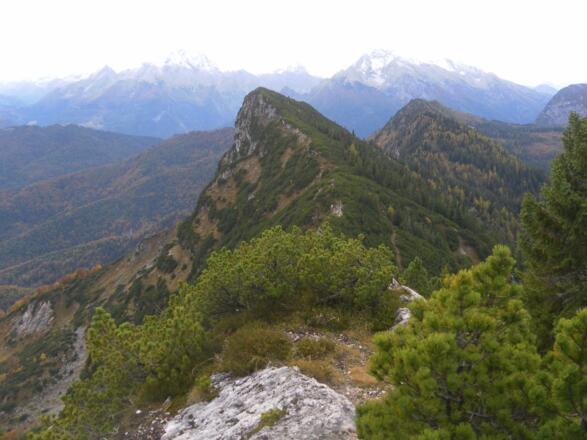 Törlkopf aus dem Karkopf Südrücken