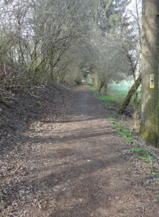 "Hohlweg" hinaus aus Neunburg