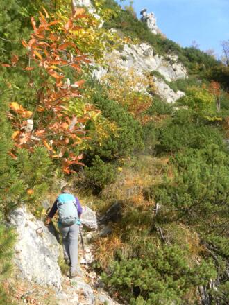 unter der Steinernen Agnes
