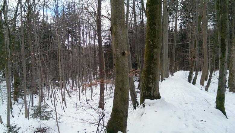 Auf dem Wall der Keltenschanze