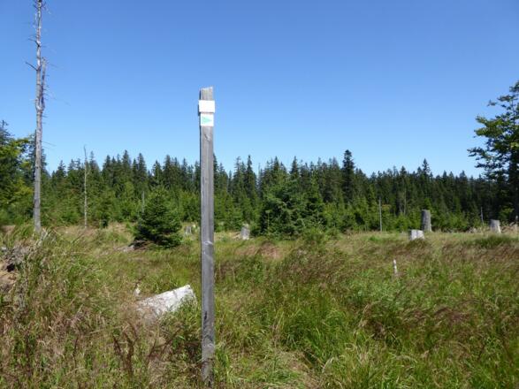 Aufstieg zum Jährlingsschachten