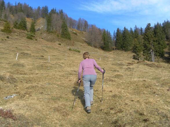 Kohlenberg