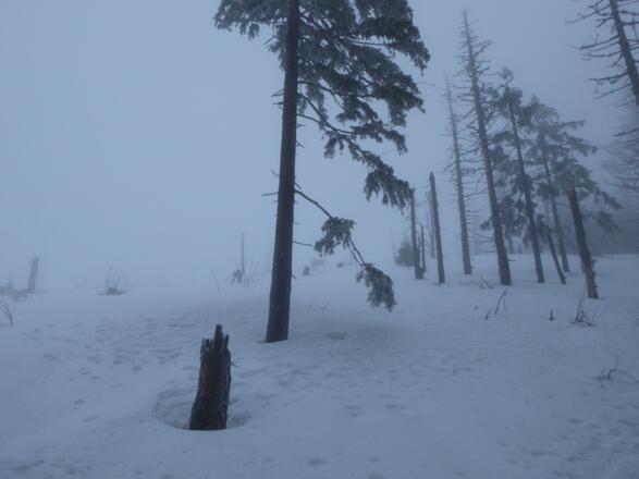 steiler Anstieg zum Gipfel