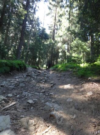 Aufstieg auf Käsplatte