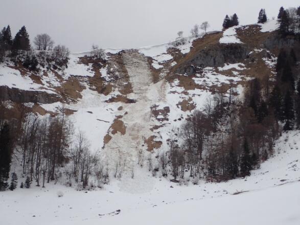 Wechtenbruch und Gleitschneeabgang oberhalb der Nigelkaralm