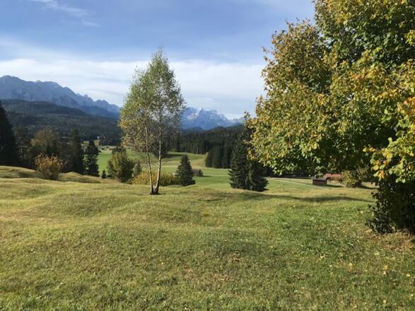 Buckelige Wiesen -Blickrichtung Westen