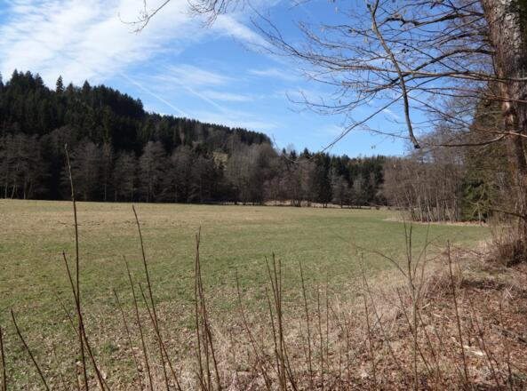 Ilztal kurz vor Schneidermühl