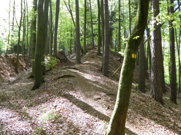 Aufstieg auf den Buchenberg
