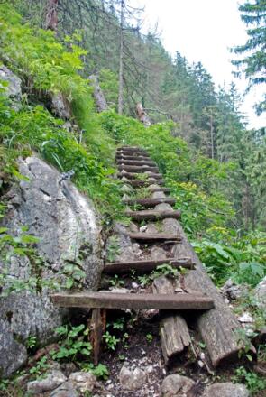 Hier muß man trittsicher sein !