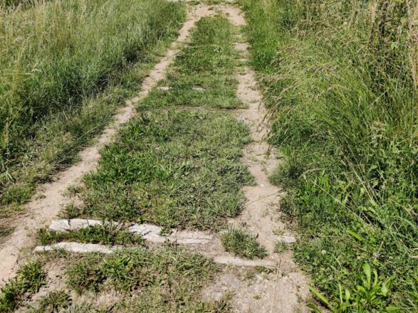 Frenghofen - alte Trasse des Walhalla - Bockerls (Schmalspurbahn Regensburg - Wörth a.d.D.