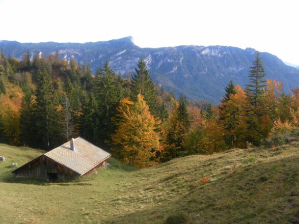 Mitterkaser Diensthütte