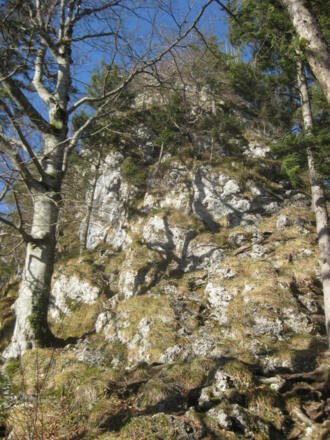 am schrofigen Ostrücken