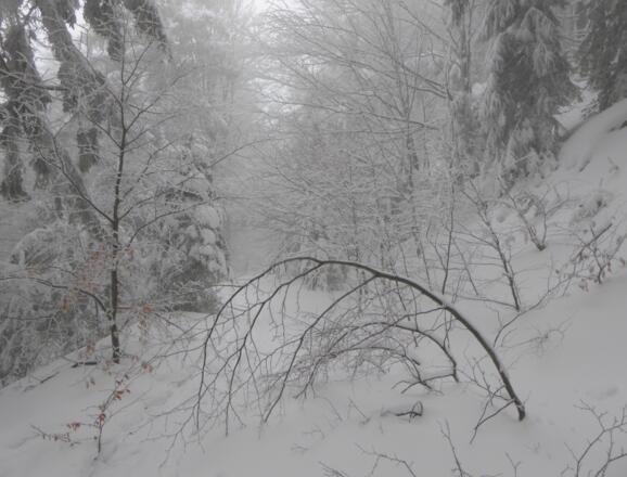 Abstieg über &quot;ROT 2&quot;