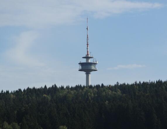 Sendemast bei Letzau
