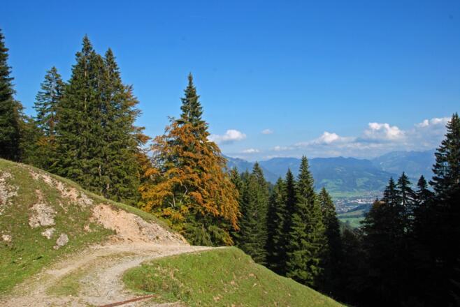 Beim Abstieg ins Gunzesrieder Tal