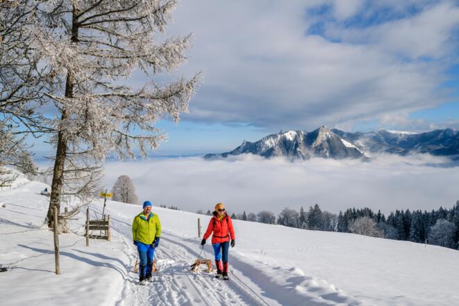 Über einen letzten aussichtsreichen Abschnitt mit Blick zu Heuberg geht es hinauf.