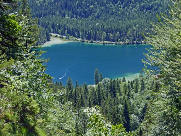 Blick auf den Hintersee