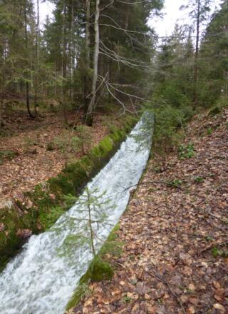 Osterbachkanal - Trift