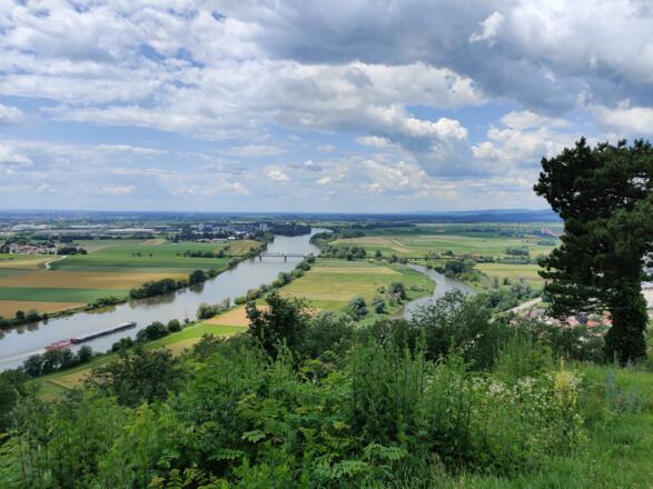 Aussicht vom Bogenberg nach Norden