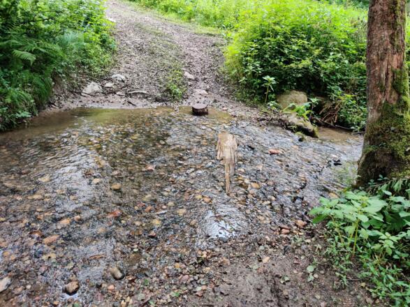 Bachüberquerung (es gibt auch einen verteckten Steg)