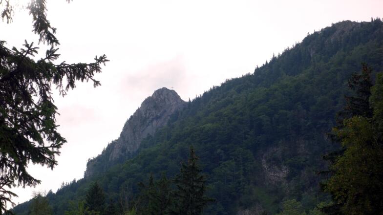 Lichtung ~700m mit Steinernem Jäger