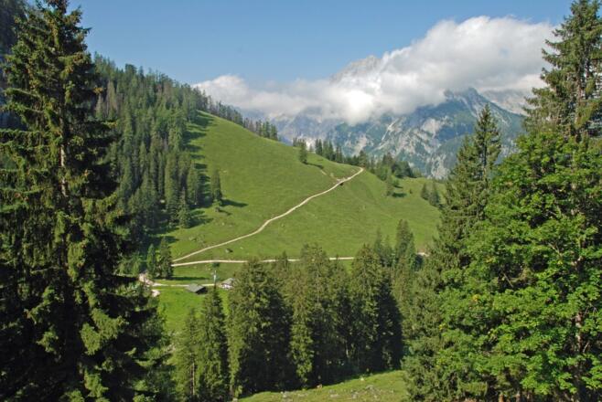 Oberhalb der Königsbachalm