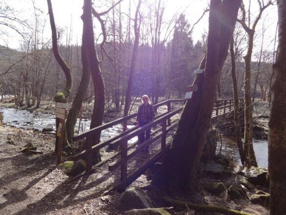 Brücke über die Wolfsteiner Ohe