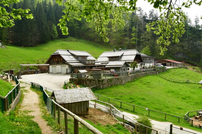 Die Hochsteinalm - ein empfehlenswerter Einkehrgasthof