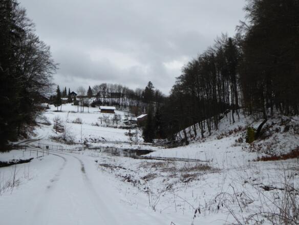 Aufstieg nach Ranfels