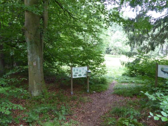 Hinweistafeln erklären den Wald