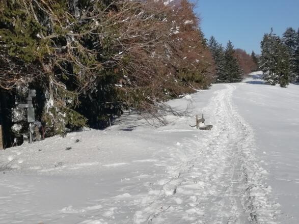Hauchenberg, Abfahrtsmöglichkeit nach Börlas
