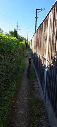 Der schmale Single-Trail von Golling nach Kuchl...