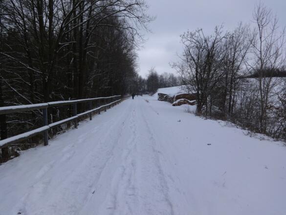 alte Bahntrasse nach Wutzelskühn