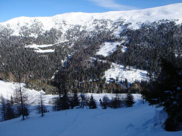 Oberhalb der Steffeialm, Blick zum Hühnerleitennock und zur Mühlhauserhöhe