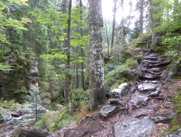 steinige Pfade am Riesloch Wasserfall