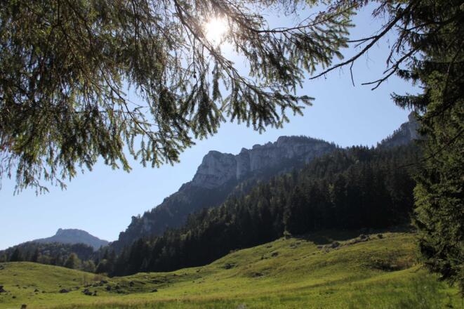 Blick auf die Gedererwand von den Weidewiesen der Maureralm