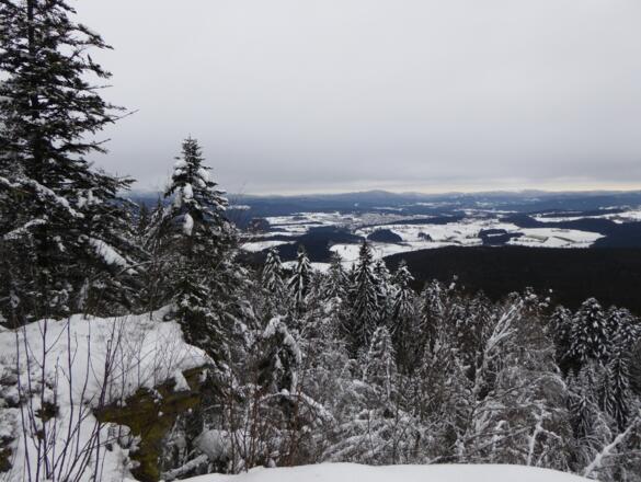 Aussicht vom Ochsenberg