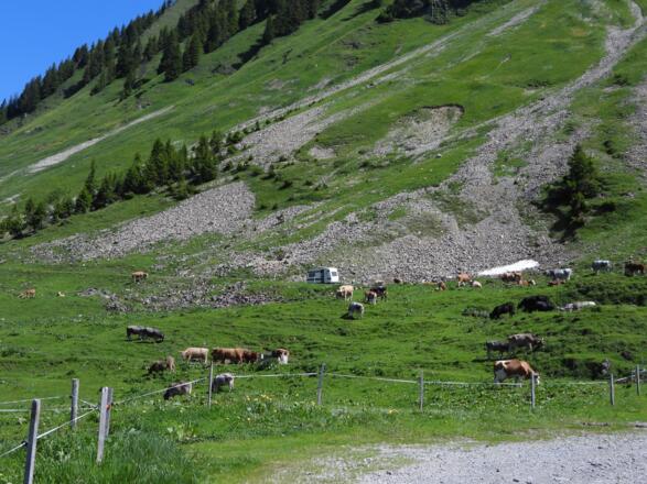 Auf der Türtschalpe