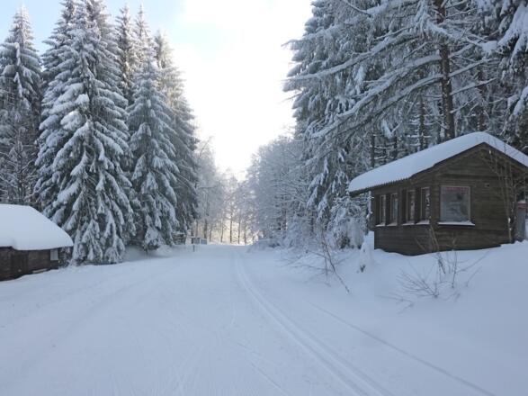 Letzter Streckenabschnitt zu Start/Ziel
