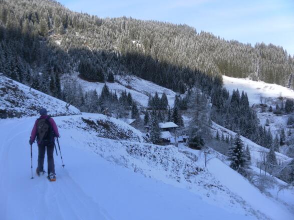 Rettenebenalm oder Roslalm