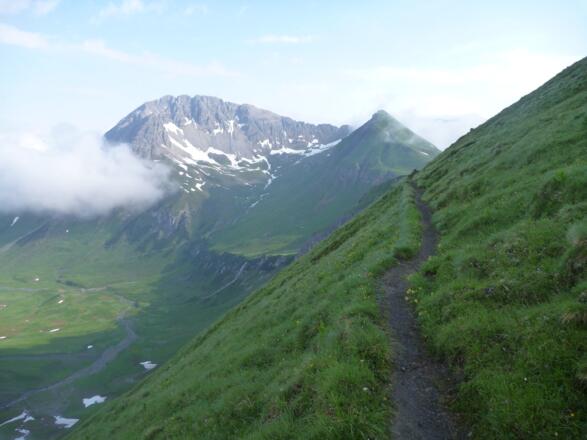 Boschweg